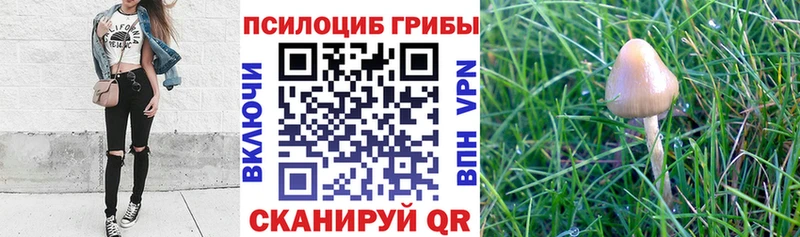 OMG маркетплейс  Балаково  Псилоцибиновые грибы прущие грибы 